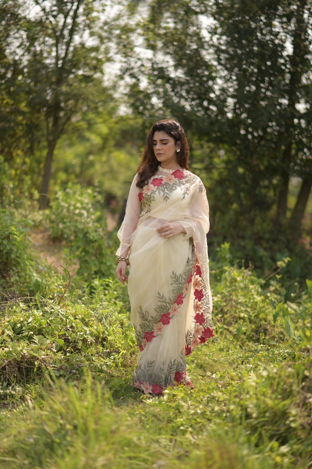 Beige Noori Saree
