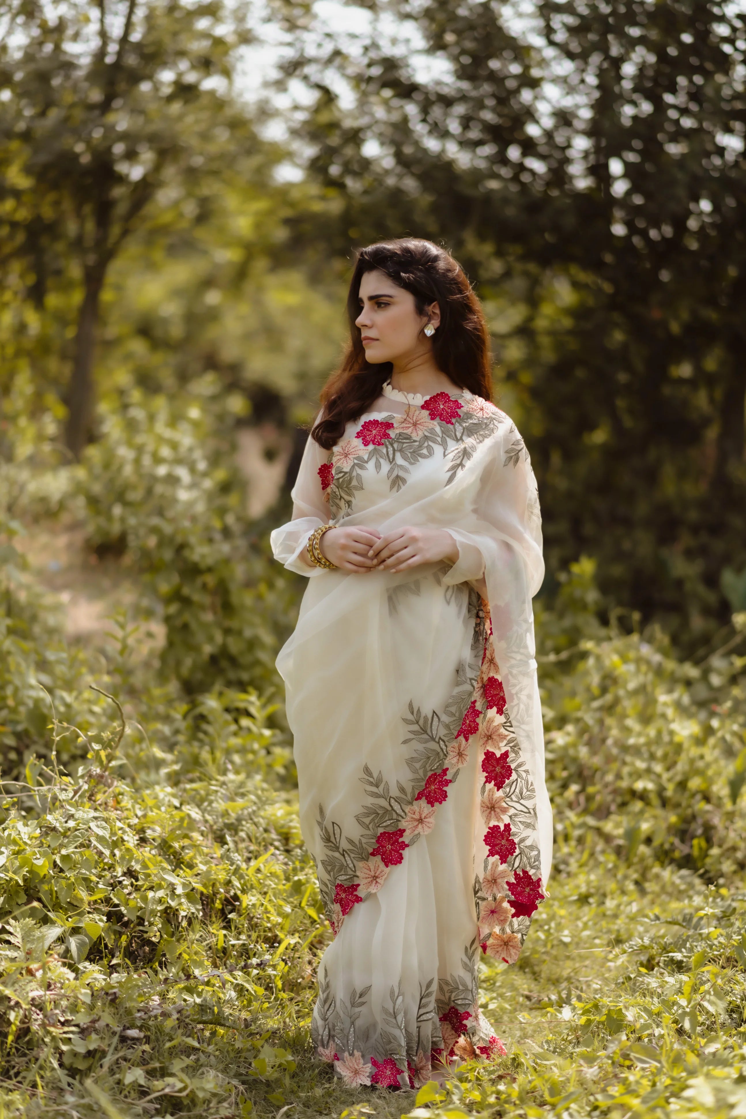 Beige Noori Saree